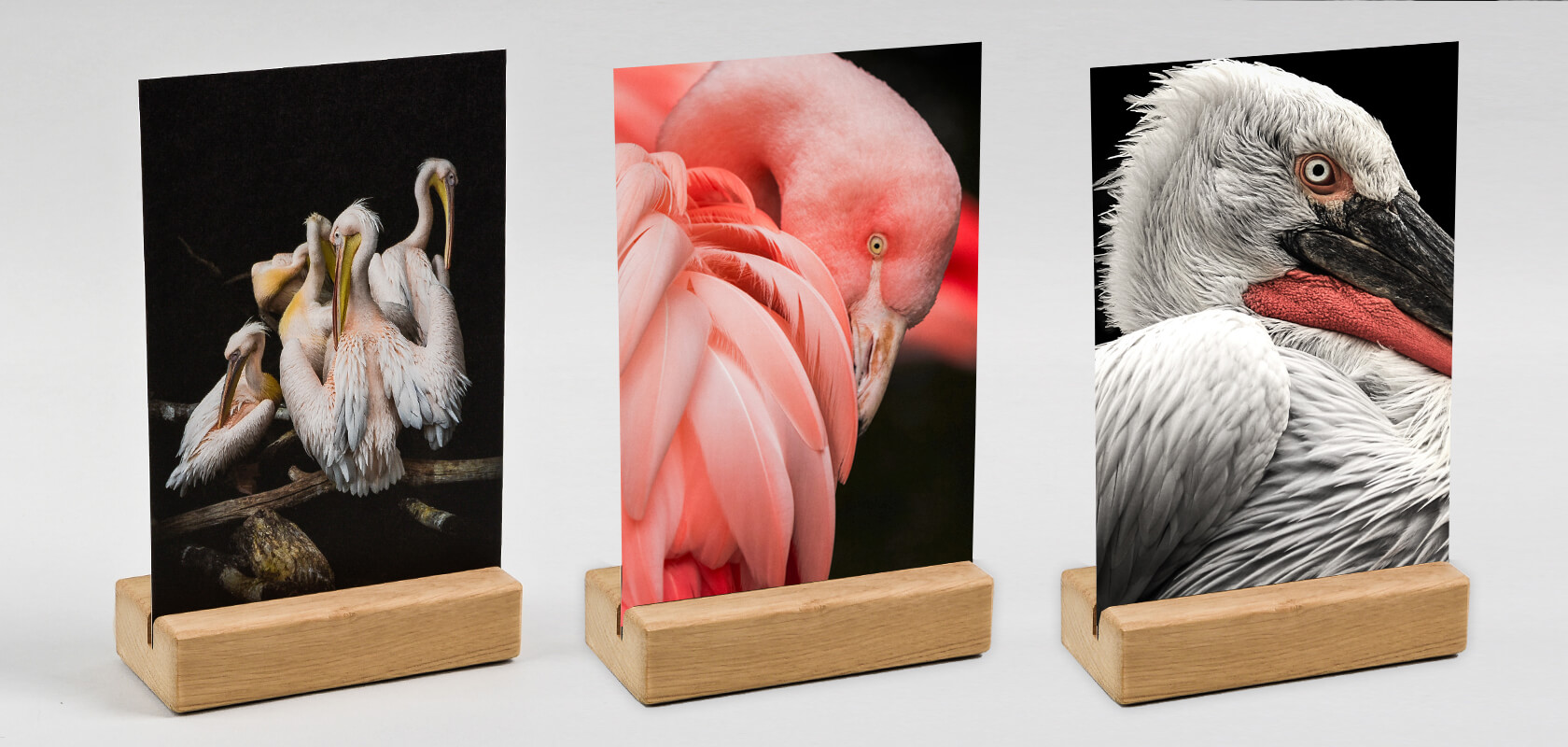 Natural oak wood Photo Holder for present printed photos and postcards.